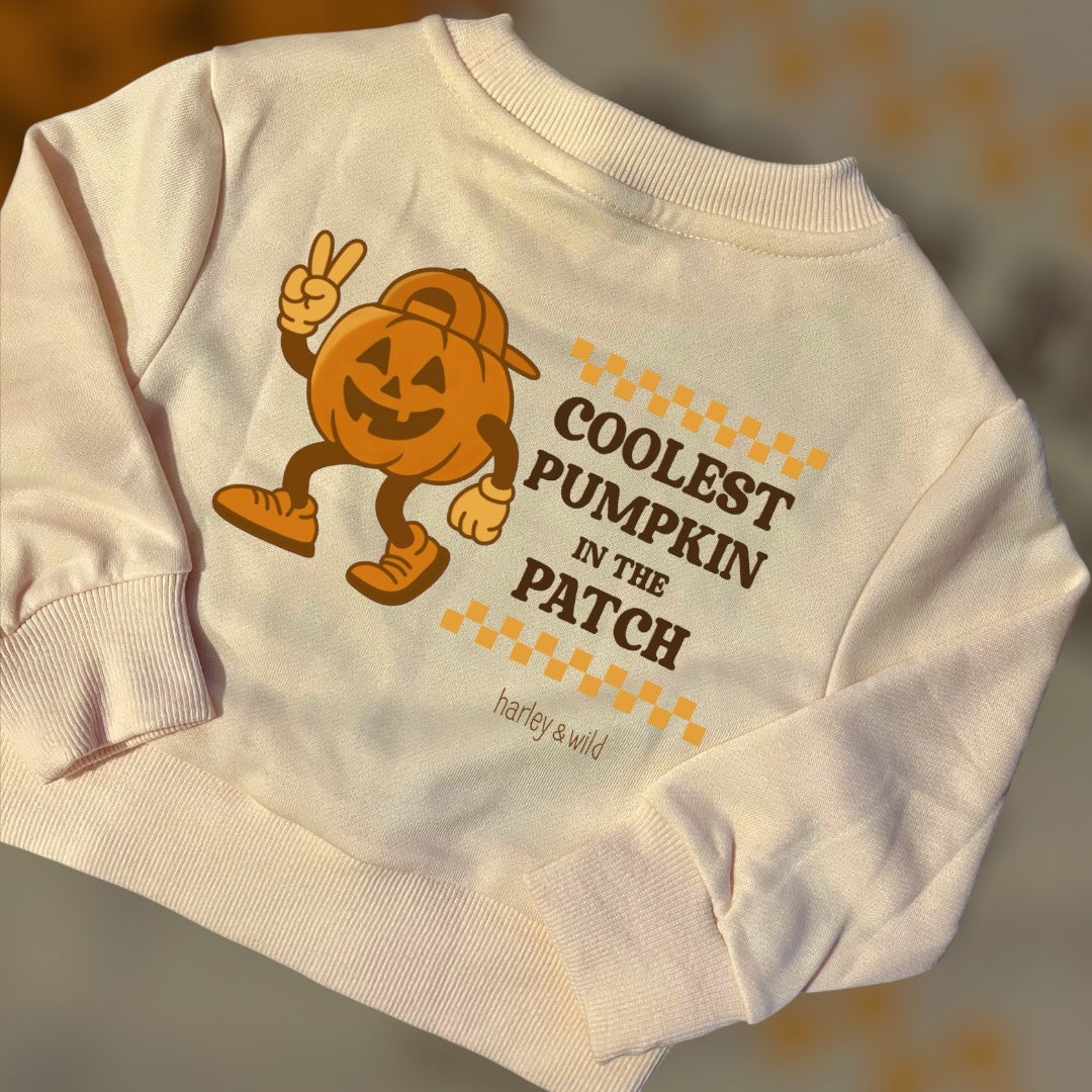 Coolest Pumpkin - Sweater